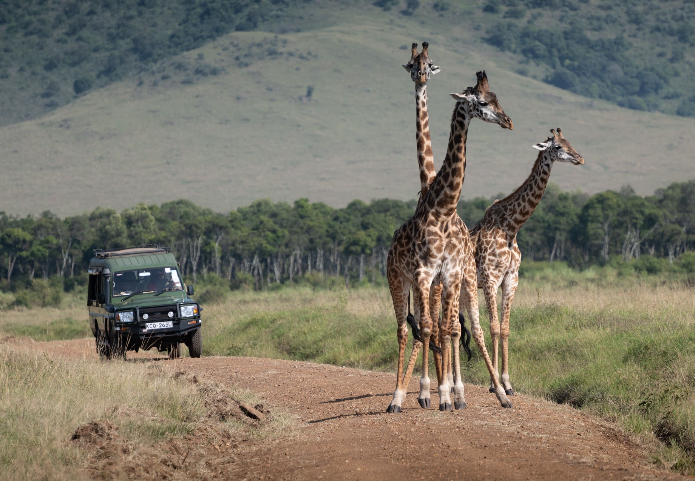 Kilima Camp game drive vehicle crossing the Mara