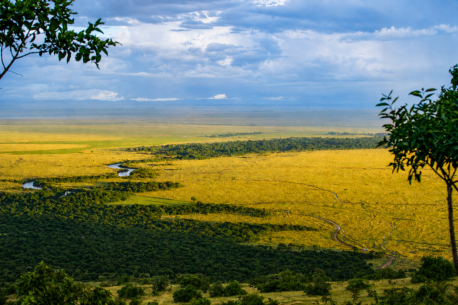Maasai Mara plains viewed from Kilima Camp