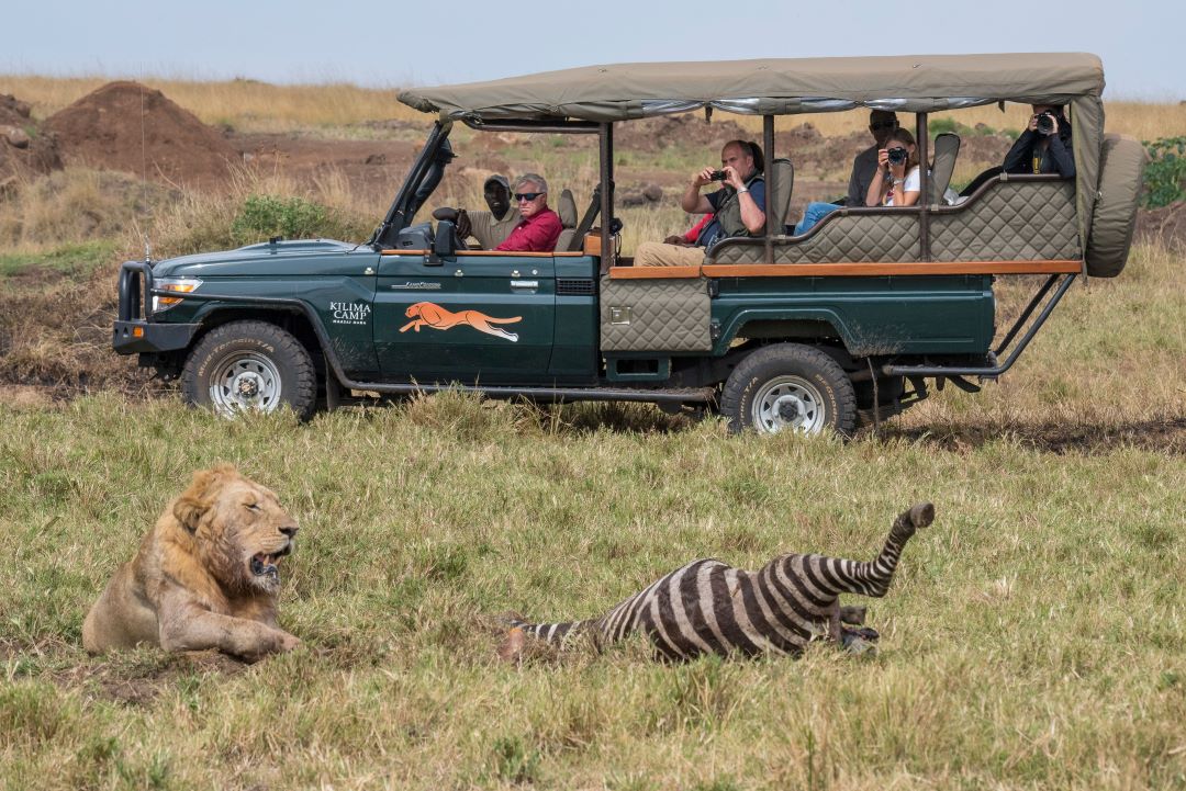 Kilima Camp safari vehicle near a lion in the Maasai Mara